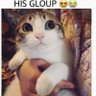 Bitrate's profile picture