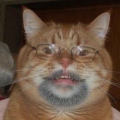 Shawn Sully's profile picture