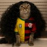Фото профиля toinho do gás™