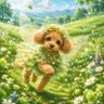 ワンコ's profile picture