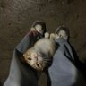 🐈 profil fotoğrafı