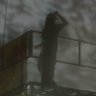 Fexzy's profile picture