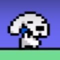Raflcoopter's profile picture