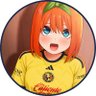 Фото профиля Fernando Bemor