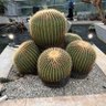 Фото профиля 見る専垢(脱)