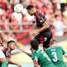 Paulinho sem linho é pau's profile picture