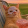Profilbild von Mr.Brightside