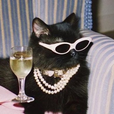 faty's profile picture