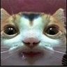 Caretaker profil fotoğrafı