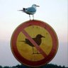 NobodyYouKnow's profile picture