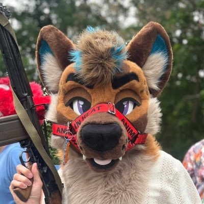 Ryker🐾🔜MP's profile picture