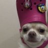 Mané 的头像