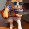 Profilbild von Marley