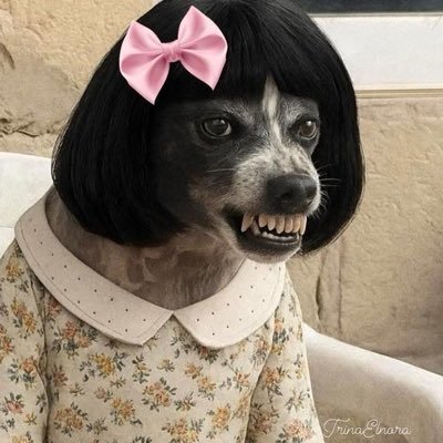 Yani2012346's profile picture
