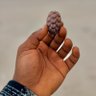 Gap tooth's profile picture