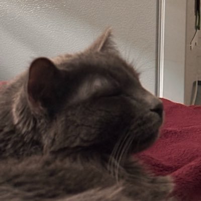 DylanZeMuffin_'s profile picture