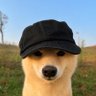 Jaden Mathew profil fotoğrafı