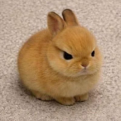 clarke :-*'s profile picture