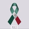 Profilbild von Hortencia Tinoco
