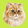 まさ's profile picture
