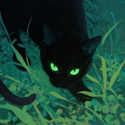 Vexusvlr's profile picture