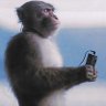 KARKARÁ☭'s profile picture