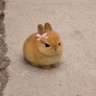 Nini's profile picture