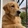 Фото профиля Unbothered