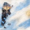 el cactus argentus profil fotoğrafı