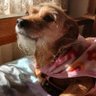 Flor ๐น's profile picture