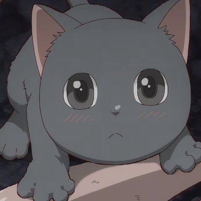 NiuCha52749's profile picture