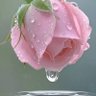 Фото профиля 💧 قطرة المطر💧
