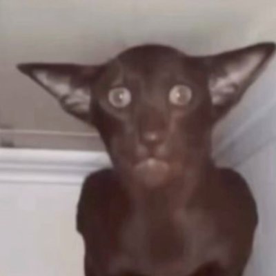 kochengjamet's profile picture