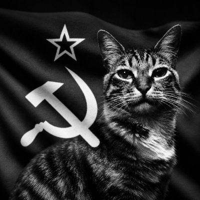 ZurdoGato2's profile picture