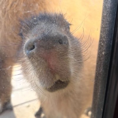 thati11ike's profile picture