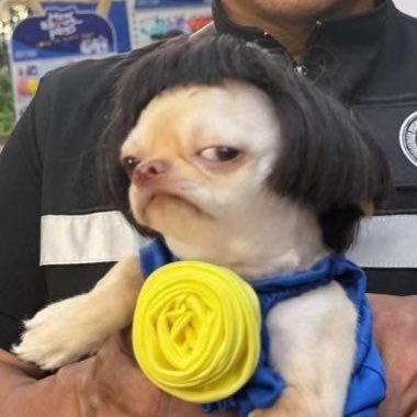 กระต่ายที่อยากเกิดเป็นควายน้อย's profile picture
