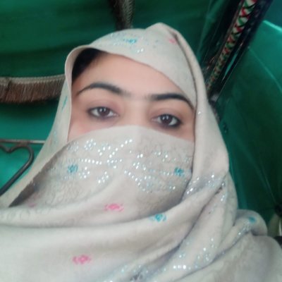 HoorUlAinji's profile picture