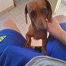 Profilbild von pididy