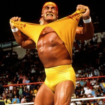 WrstleVault's profile picture