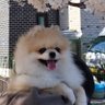 pon's profile picture