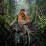 EverShore profil fotoğrafı