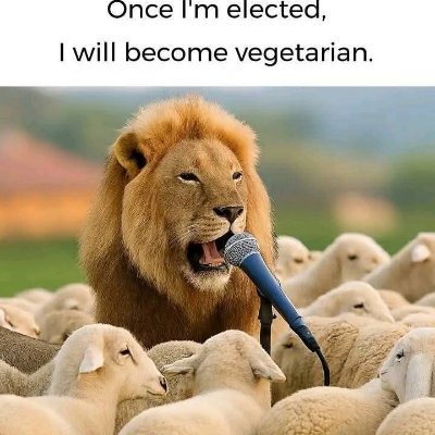 DontT73369's profile picture