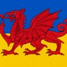 Dafydd Evans 442's profile picture