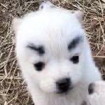 i8zxne's profile picture