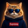 Фото профиля 0xheycat🐬