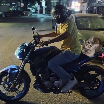 bary1401's profile picture