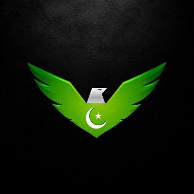 PPG - Pakistani PC Gamers's profile picture