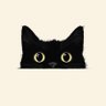 Profilbild von 抗い続ける黒猫