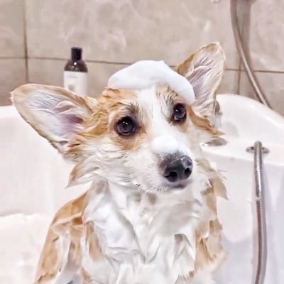 JJenxyanuch's profile picture