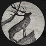 تركي's profile picture